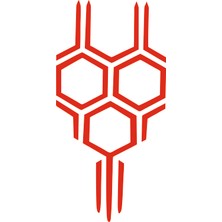 Şallı Reklam Araç Ön Kaput Desen Sticker