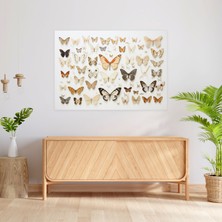 Popcas  Gerçekçi Kelebekler Koleksiyonu Kanvas Tablo Duvar Sanatı