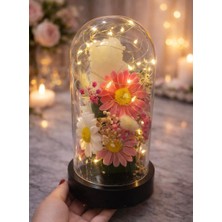 Perloraco Peri Ledli Kokulu Mum