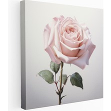 Popcas  Botanik Koleksiyonu Pembe Gül Kanvas Tablo