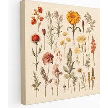 Popcas  Kurutulmuş Çiçek Koleksiyonu Duvar Dekorasyonu Kanvas Tablo
