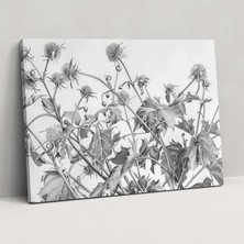 Popcas  Botanik Duvar Sanatı Leonardo Da Vinci Kanvas Tablo