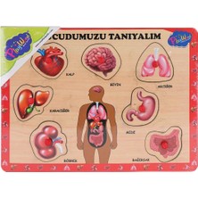 İsmiyle Al ONY-287 288 Ahşap Tutmalı Vücumuzu Tanıyalım -Onyıl Oyuncak