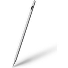 Skygo ZR706 JT18-P Dokunmatik Kalem