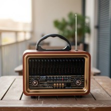 Dexxony Vintage Kahverengi Bluetoothlu Nostaljik Ahşap Radyo & Bluetooth Hoparlör (Videolu Ürün)