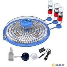 İsmiyle Al 240 Kuş Yumurta Kapasiteli Otomatik Çiftlik Kuluçka Makinesi : Yumurta, Bıldırcın ve Kanatlıl