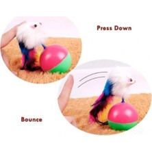 İsmiyle Al Kedi Fare Hacıyatmaz Oyunu