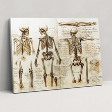 Popcas  Leonardo Da Vinci Duvar Dekorasyonu - Kanvas Tablo Duvar Sanatı