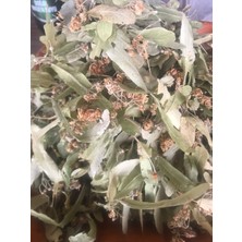 Ihlamur Çayı (35 gr )