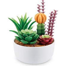 Indispensablely MN800010 - MN800000 Nessiworld Brands - Botanik Bahçe 77559