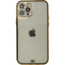 Lowell Home Ieg  iPhone 12 Pro Max Kılıf Liva Taşlı Silikon - Siyah LWLRSHM-76W5