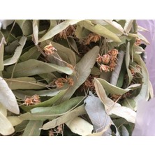 Ihlamur Çayı (35 gr )