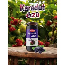 Lowell Home Özseven Karadut Özü 300GR LWLHM-RSYT367