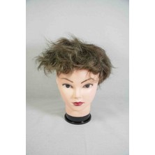 Number One Hair Hollywood 7*10 6b