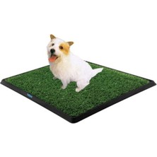 Lowell Home Ieg Köpek Tuvalet Eğitim Seti LWLHMRS-İEG4256