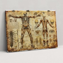 Popcas  Leonardo Da Vinci Duvar Dekorasyonu - Ev Dekorasyonu Kanvas Tablo