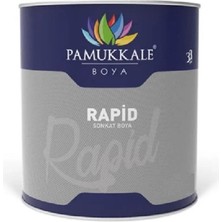Pamukkale 1402 Rapid Endüstriyel Boya 60-70 Gloss 5 kg Ral 9007 Alüminyum Gri