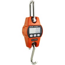 Lowell Home Ieg Kancalı Terazi 300KG Çelik Askılı Terazi (4887) LWLRSHM-324FTY4