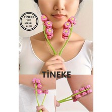 Normadia Yüz ve Boyun Masaj Aleti, Kırışıklık Karşıtı, Cilt Bakım, Manuel, Pembe