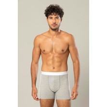 Erdem Erkek Beli Şeritli Pamuklu 6'lı Paket Boxer 1417
