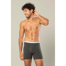 Erdem Erkek Çizgili Lastikli Pamuklu 6'lı Paket Uzun Boxer 1415