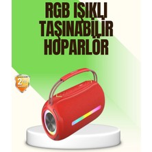 Flamex Rgb LED Işıklı 20W Taşınabilir Bluetooth Hoparlör Ipx6 Suya Dayanıklı