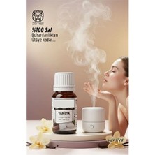 MegaSepet Mey Ithalat® %100 Saf ve Yoğun Vanilya Çiçeği Esansı - Ütü, Buhardanlık ve Koku Makineleri Için 10 ml