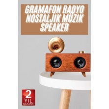 Flamex Gramafon Nostaljik Radyo Yüksek Ses Kalitesi USB Tf Kart Aux