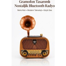 Ankaverse Gramofon Tasarımlı Nostaljik Bluetooth Radyo Hoparlör Müzik Çalar