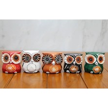 Esranın Dünyası Ahşap 5'li Baykuş Seti Model 3 RSKRG34-ESRDNS