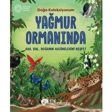 Koç Üniversitesi Yayınları Yağmur Ormanında