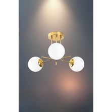 Ronisu Aydınlatma Vireon Sarkıt Avize– 4 Farklı Renk Seçenekli Modern Tasarım Avize