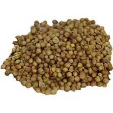 Kişniş Doğal Tane 100 gr Paket