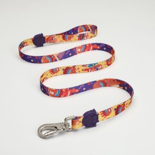 Indispensablely Lindo Dogs Ginger Man Köpek Gezdirme Kayışı Renkli Large