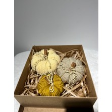 El Yapımı Bal Kabağı Seti