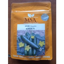 Msa Surur F1 Hıyar Hibrıt Bol Verimli Kaliteli 2500 Ad Tohum