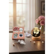 Sarego Şans Getiren Yonca Temalı Işıklı Kristal Cam Kar Küresi Usb'li Ahşap Tabanlı Dekoratif Set Doğal Istiridye Inci Kolye Hediyeli 2'li Takım