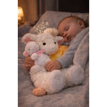 Nasyonel Toys Masalcı Kuzu Masal Anlatan Uyku Arkadaşı Oyuncak – Anne Şefkatinde 14 Masal – +0 Yaş Nasyonel