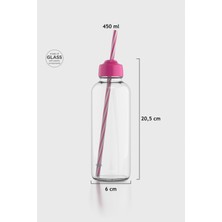 Renga Felix 450 ml Pipetli Cam Şişe 181010 Fuşya