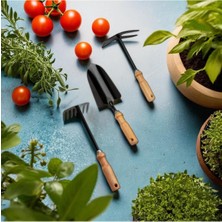 Normadia Bahçe Bitki Seti 3 Parça Ahşap Saplı Toprak ve Saksı Bakım Takımı