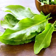 Zengarden Geniş Yapraklı Kuzukulağı Tohumu Ekşi Otu Labada