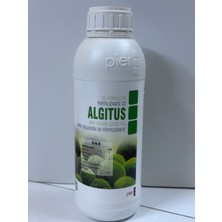 Pier Tarım Algitus Deniz Yosunu