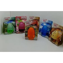 Jolly Kavanoz Araç Kokusu ( Kavun)