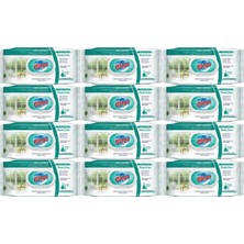 Bingo Clean Yüzey Temizlik Havlusu 96 Yaprak Sevilen Kokular Ferah Evim (12 Li Set) 1152 Yaprak