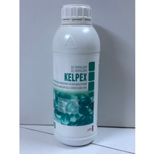 Pier Tarım Kelpex Deniz Yosunu