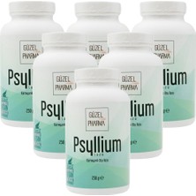 Güzel Ada Gıda Psyllium Karnıyarık Otu Tozu 6x250 Gr