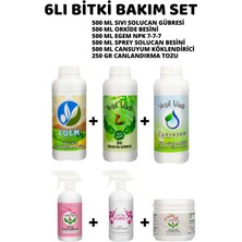 Yeşil Vadi Çiçek Çoşturan Bitki Besini Bakım Serisi Set 6lı