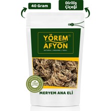 Gülçehre Yörem Afyon Suyla Hayat Bulan Kadim Mucize Meryem Ana Eli Otu, Fatma Ana, Diriliş Çiçeği (Hierochuntica) | 40GR.