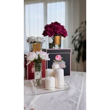 Jaguar Aksesuar Pleksi Tepsi Kulpsuz