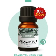 Okaliptus Uçucu Koku Yağı Buhurdanlık Yağı Difüzör Esansı Küre 10ML
